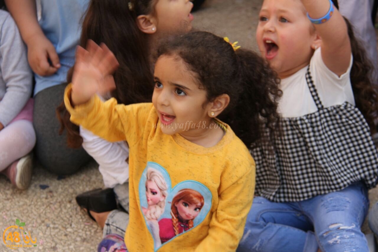 mahrajan jmaehery uwq (27).jpg